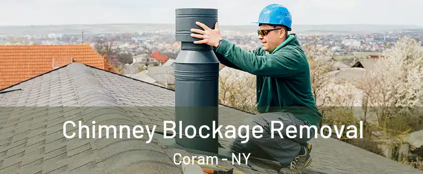  Chimney Blockage Removal Coram - NY
