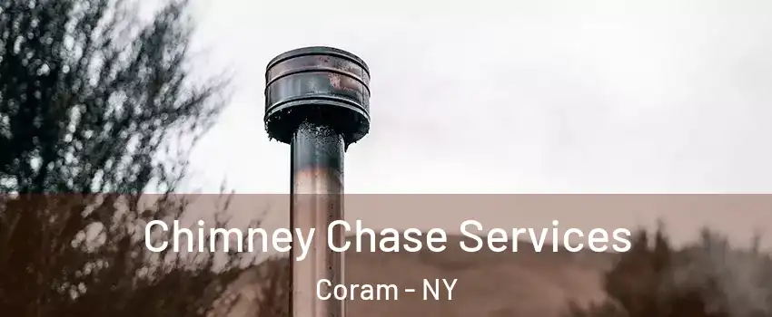  Chimney Chase Services Coram - NY