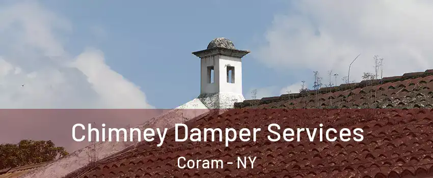  Chimney Damper Services Coram - NY