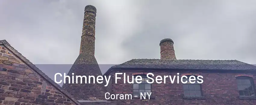  Chimney Flue Services Coram - NY