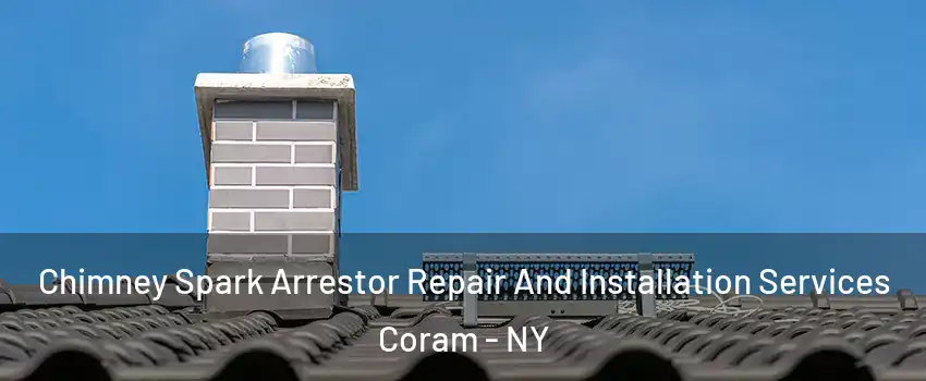  Chimney Spark Arrestor Repair And Installation Services Coram - NY