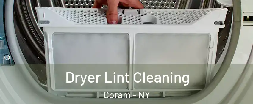  Dryer Lint Cleaning Coram - NY
