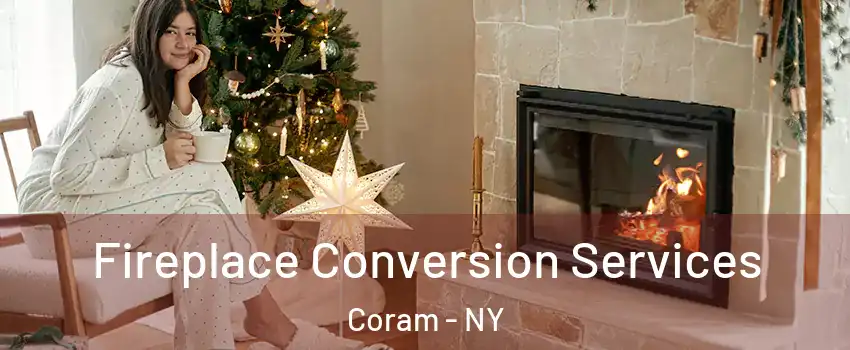  Fireplace Conversion Services Coram - NY
