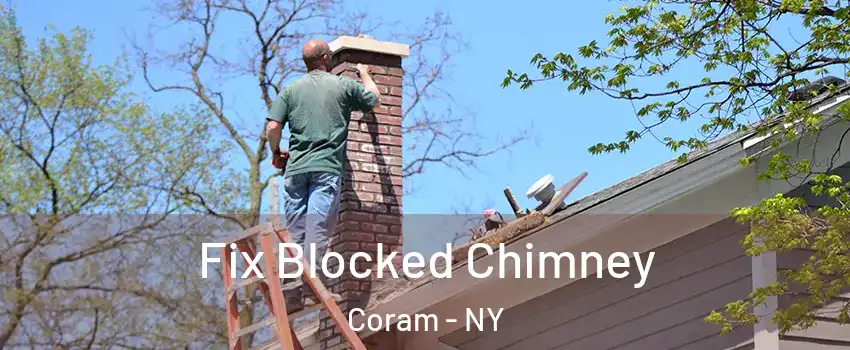  Fix Blocked Chimney Coram - NY