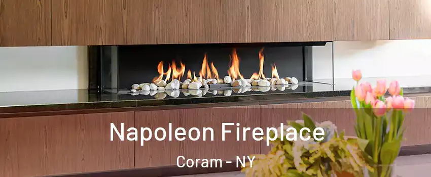  Napoleon Fireplace Coram - NY